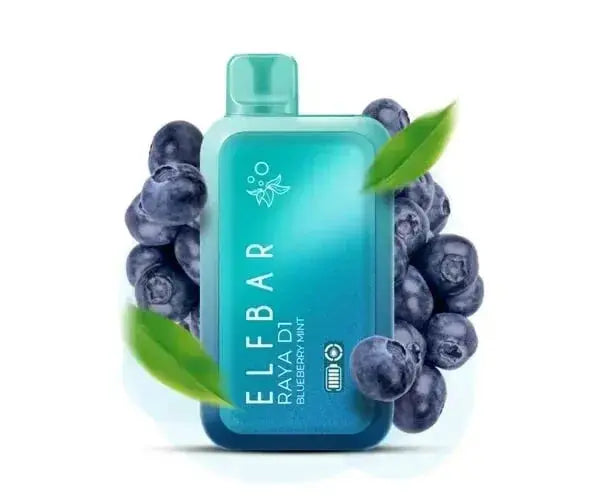 ELF BAR RAYA D1 – Blueberry Mint – buy in Jaipur