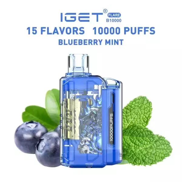 IGET FLARE B10000 – Blueberry Mint - Vape Shop Jaipur