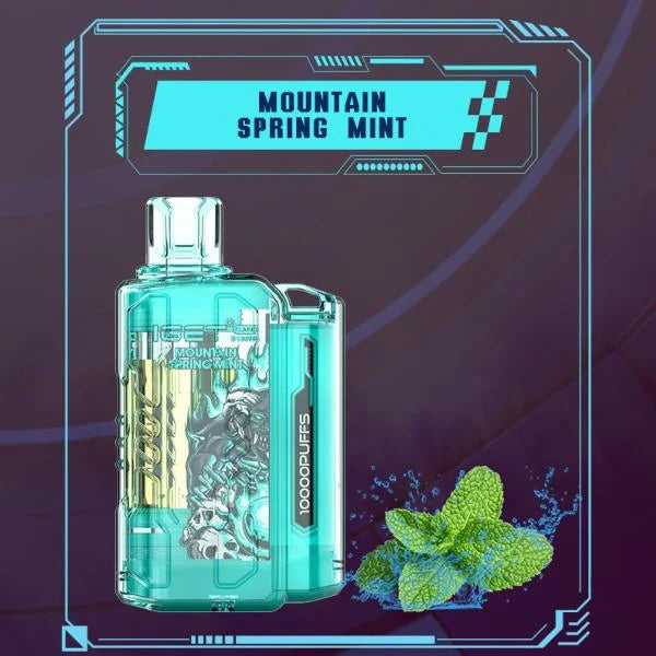 IGET FLARE B10000 – Mountain Spring Mint - Vape Shop Jaipur