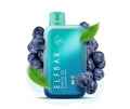 ELF BAR RAYA D1 – Blueberry Mint - Vape Shop Jaipur